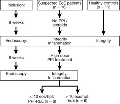 Perusahaan perdagangan indonesia (ppi) mencatatkan keuntungan di 2020. Proton Pump Inhibitors Partially Restore Mucosal Integrity In Patients With Proton Pump Inhibitor Responsive Esophageal Eosinophilia But Not Eosinophilic Esophagitis Clinical Gastroenterology And Hepatology