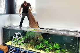 Oliver Knott Working On A Massive Aquarium Fish Tank Aquarium Fish Aquarium
