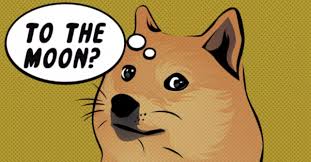 Will dogecoin ever reach the $1000 mark? 5 Reasons Why Dogecoin Will Reach 1 Dollar Sooner Than You Think By It S All Risky Medium