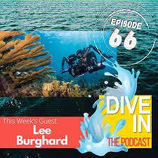 We did not find results for: Dive In The Podcast Podcast Podtail