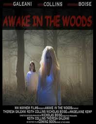 Centers around a man who wakes up in a hospital with no recollection of who who is or how he got. Awake In The Woods 2015 Movie Posters