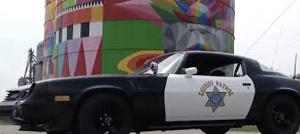 Image result for White 1981 Fleet