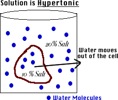 Osmosis is used in water purification process. Quia Chapter 7 Part 2