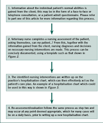 However, creating nursing care plans could be cumbersome without the use of templates. Veterinary Nurses Creating A Unique Approach To Patient Care Part Two The Veterinary Nurse