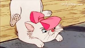 It's hard to believe so much time has passed since the film about a family of aristocratic the aristocats features a bundles of cute cats as well as many animal friends who helped them along the way. Aristocats Names For Your Feline Friend Cats In Care