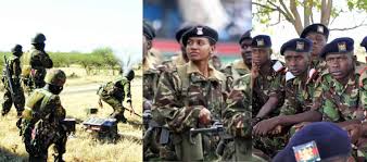 Kenya Defence Forces Salary 2019