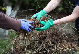 How to prepare vegetable garden in fall. How To Prepare Your Vegetable Garden For Winter Planet Natural