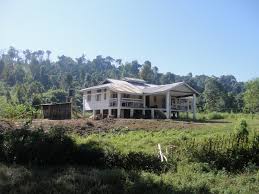 Indians love a good cup of tea (chai) and india is one of the largest tea growers in the world. A Tea Plantation In Arunachal Pradesh The Velvet Rocket