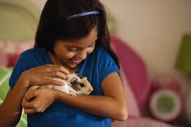 Maybe you would like to learn more about one of these? 3 Unique Pets You Can Adopt At Petsmart Petsmart Charities
