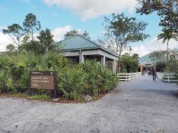 10 Best Ways To Experience The Florida Everglades