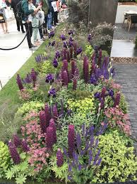 Urban Flow Garden Tony Woods Chelsea Flower Show 2018 Chelsea Flower Show Garden