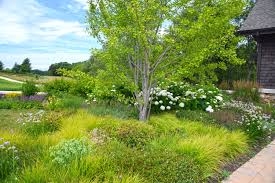 Gardens And Hardscape Designed And Installed By Northwind Perennial Farm Burlington Wi For Private Gorgeous Gardens Drought Tolerant Garden Hardscape Design