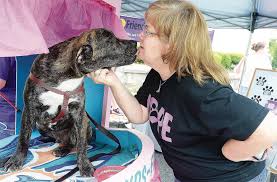 Search for dogs for adoption at shelters near altoona, pa. Canine Lovers Paws In Shepherdstown For Annual Dog Fest