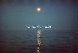 We did not find results for: Tumblr Quotes Moon Dogtrainingobedienceschool Com
