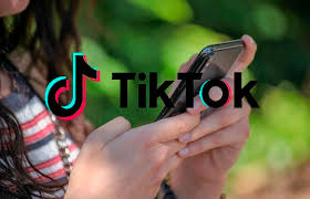 Save and share the best hd tiktok videos without watermark for free on any device. Donald Trump Approves Proposed Deal To Save Tiktok In The Us Netimperative