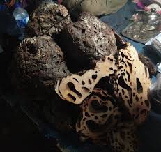 Maybe you would like to learn more about one of these? Sarang Semut Oleh Oleh Dari Bumi Papua Yang Menyehatkan Merahputih