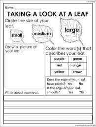 Fall Leaf Observation Sheet Science Center Activity First Grade Science Preschool Science Science Lessons
