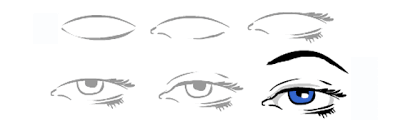 How to draw eyes a step by step guide thought catalog. How To Draw Human Eyes Learn How To Draw