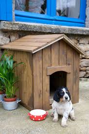 Lasurer Une Niche Pour Chien Diy Family Niche Chien Plans De Niche Pour Chien Abri Pour Chien