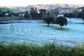 Transferências banco de imagens : Geada Negra