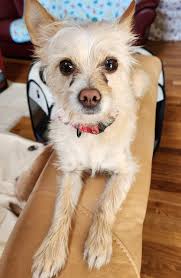 St. John Cantius mourning loss of pastor Joseph Zingaro