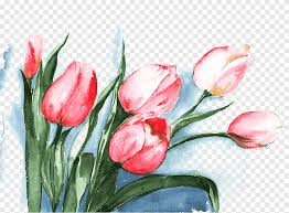 Botanic composition for wedding or greeting card. Pink Tulip Flowers Painting Tulip Watercolor Painting Flower Pink Tulips Watercolor Material Watercolor Leaves Flower Arranging Png Pngegg
