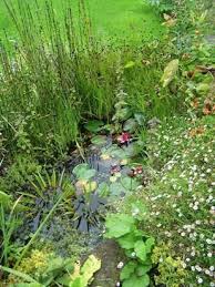 10 Backyard And Garden Pond Designs Ideas In 2020 With Images Garden Pond Design Water Features In The Garden Ponds For Small Gardens