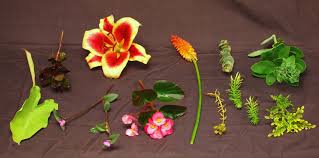 It's important to choose flowers that are fresh and haven't wilted yet in order to get the best results. How To Press Flowers Create Handmade Greeting Cards Longwood Gardens