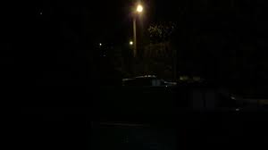Gece Oten Kus Hangi Kus Bu Youtube