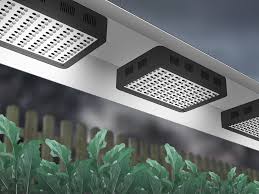 We did not find results for: How To Plan A Winter Garden 14 Steps With Pictures Wikihow