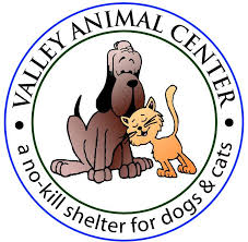 If you have a pet you need to relinquish, please visit your local la animal services shelter. Best Pet Rescue Fresno Best4pets