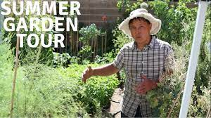 Hours may change under current circumstances Best Nursery For Southern Utah Nevada That I Found For Vegetable Fruit Plant Starts Youtube