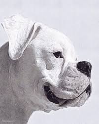 Black And White Boxer Dog Art White Boxer Dog Art Painting Acrylic Giclee Print Canvas Print Gift Idea Wall Decor Dog Accessories Custom Pet Portrait Boxer Dogs Art Dog Art White Boxer Dogs
