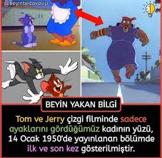Bilgi Hatice Pala Bilgi Psikolojik Gercekler Gizli Bilgi