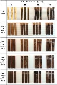 We now have thermally modified teak! Resistance Of Thermally Modified Ash Fraxinus Excelsior L Wood Under Steam Pressure Against Rot Fungi Soil Inhabiting Micro Organisms And Termites Springerlink