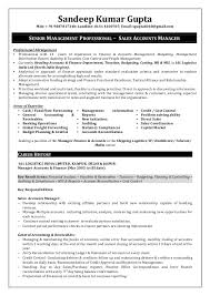Manage the preparation of the company's budget. Resume Sandeep Kumar Gupta