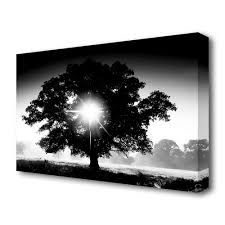Black And White Canvas Pictures Uk East Urban Home Sun Through The Tree Black And White Landscape Photographic Print On Canvas Black White Landscape Canvas Prints Landscape