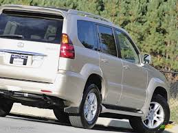 Image result for Savannah 2009 GX