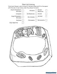 Cell Membrane Coloring Worksheet Unique Cell Membrane Coloring Worksheet Animal Cells Worksheet Cell Membrane Coloring Worksheet Color Worksheets