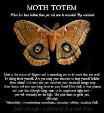 Moth Totem Animal Totem Spirit Guides Spirit Animal Meaning Animal Symbolism
