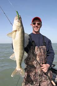 walleye length to weight conversion chart