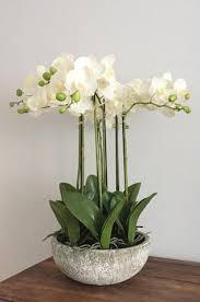 Check spelling or type a new query. Artificial Orchids And Arrangements Artificial Green