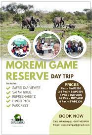 Game viewing here is matched only by its beauty; Maun Festive Season Oka Swamps Travel And Tours Agency Facebook