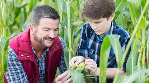 Nov 07, 2021 · a day on the farm quiz. Can You Answer These Agriculture Questions A Farmer Should Know Howstuffworks