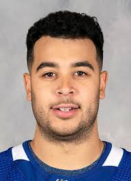 Player photos for the 2013-14 Sudbury Wolves at hockeydb.com