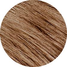 If you have darker hair but want to ease into blond, try highlights in a superbright blond. Natural Dark Blonde Hair Dye 6n Permanent Hair Colour Tints Of Nature