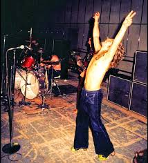 Image result for Dark Coppertone 1972 Fedders