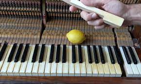 Before learning how to clean your piano keys, the first step is to understand the difference between plastic and ivory keys. 15 Ways To Clean Piano Keys