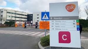 Paul Tulkens Englue Dans L Administratif Gsk Manquait Peut Etre D Innovation