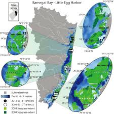 map of barnegat bay little egg harbor estuary showing